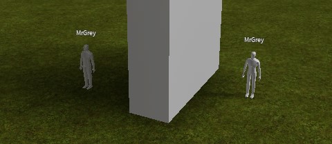 Voxel