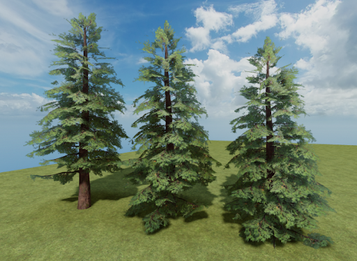 Pine trees
